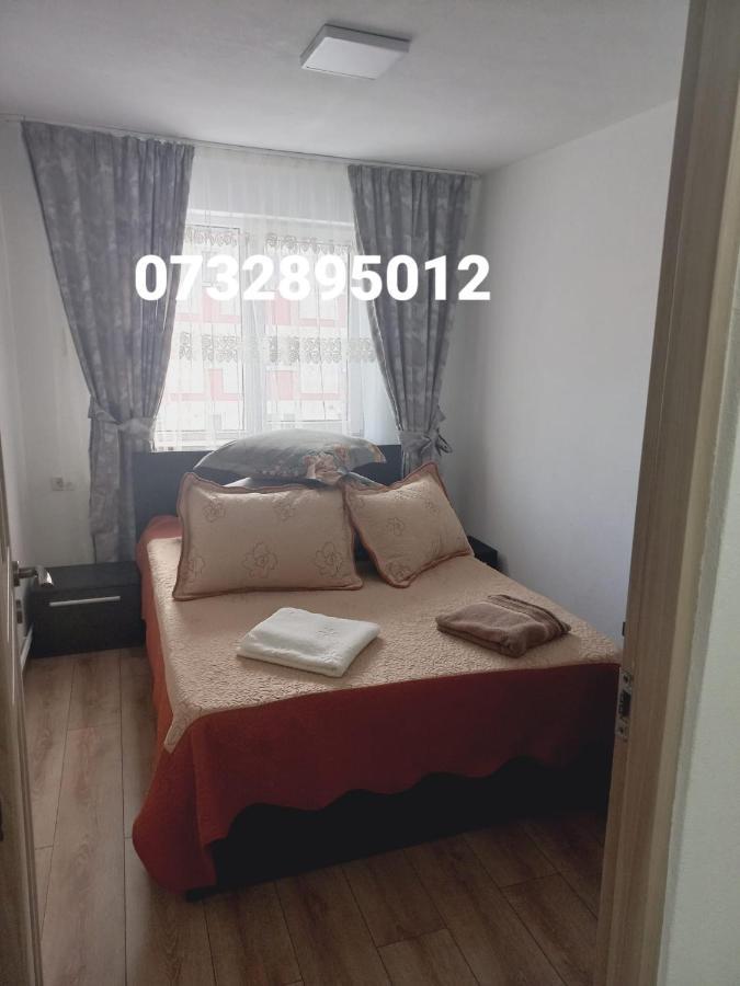 Apartament Bianca Câmpulung Moldovenesc Exteriér fotografie