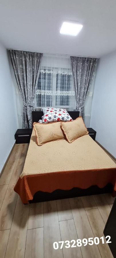 Apartament Bianca Câmpulung Moldovenesc Exteriér fotografie
